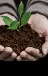 نیازمنده فروشنده تلفنی یه سری محصولات کودی
