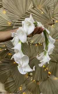 گل ارایی، سفره عقد، بادکنک ارایی