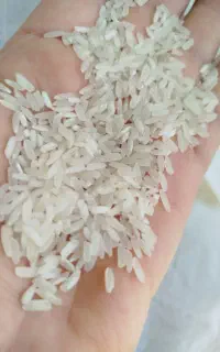 روغن سرخ بهارو مایع و برنج پاکستانی خوشپخت رسید