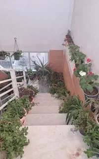 نظافت ساختمان(راه پله و پبلوت)