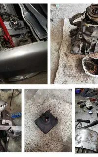 کلکسیون زانتیا، بکردرجه 1