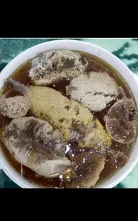 عسل وحشی ۱۰۰در۱۰۰درمانی