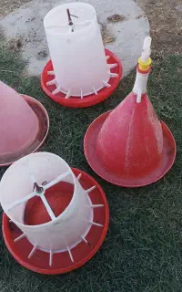 دانخوری اب خوری لامپ