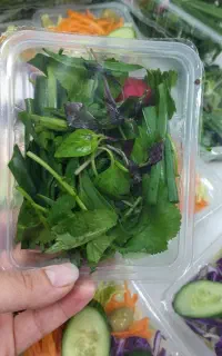 پرسنل خانم ۲نفرکارگاه سبزی،پاک کنی