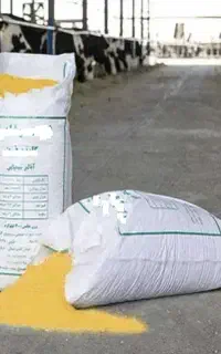 استخدام شرکت در شهرک صنعتی یزد