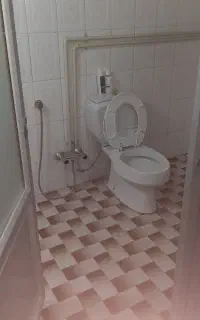 توالت فرنگی