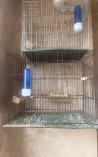 قفس پرنده