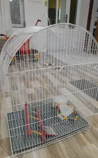 قفس پرنده
