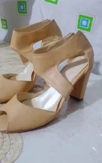 کفش مجلسی