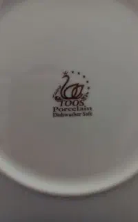 چینی طوس