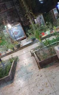 نظافتچی خانم از ساعت ۹ صبح تا ۱