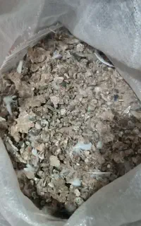کود کفتری