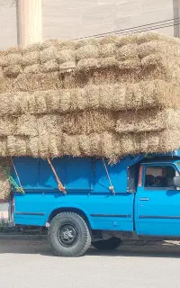 کاه پرس