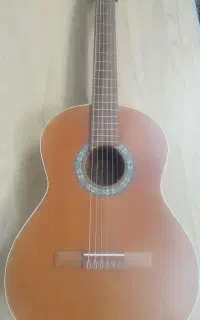 گیتار پارسیM6