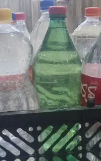 عرق رازیانه اصل