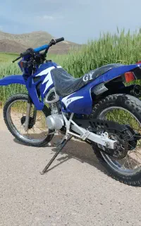 تریل جی وای 150