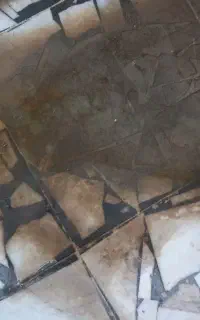 موزاییک شور