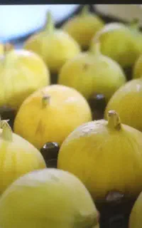 فروش میوه خودت را به ما بسپارید