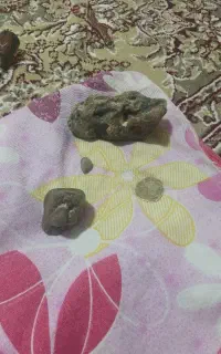 سنگ وسکه