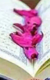 ختم قران