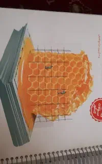 کتاب هندسه جامع ۱۴۰۴