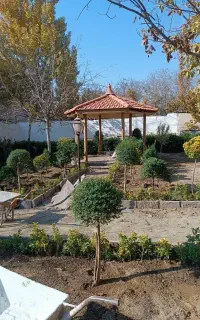 خدمات باغبانی گلکاری باغچه کاری تعویض خاک گلدان