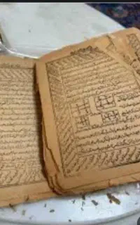 تک نیت قهوه تاروت شمع ترابی سرکتب