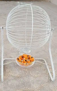 گردونه شانس