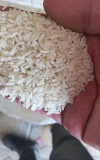 برنج طارم و هاشمی و شیرودی درجه یک اعلا