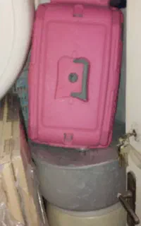 باکس حمل و پارک سگ پاکوتاه