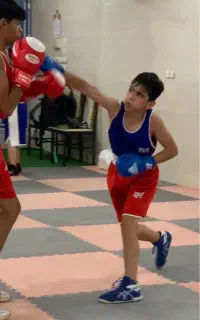 آموزش بوکس به صورت تخصصی