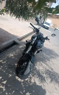 بنلی ۱۴۰۱