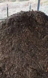 کود مرغی