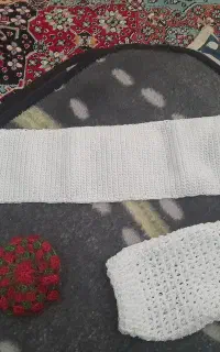 اسکاج