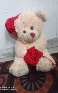عروسک بزرگ