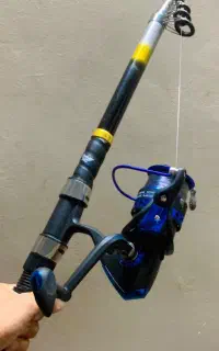 لنسر