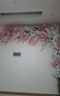 درختچه شکوفه
