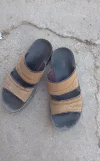دمپای اصل
