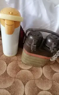 فلاکی دوقلو