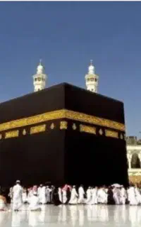 نیاز فیش تمتع