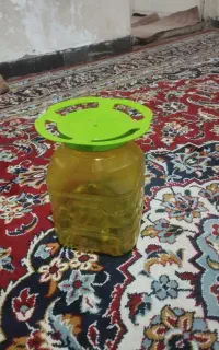 سطل