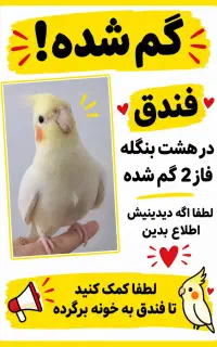 عروس هلندی گمشده