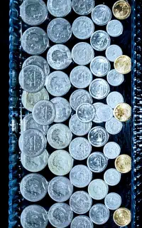 110 سکه...
