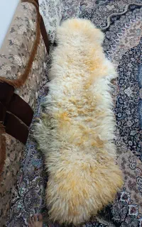 خز صندلی عربی اصل درحد