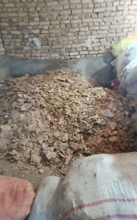 نون خشک فروشی
