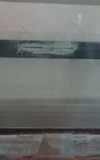 تنگ ماهی