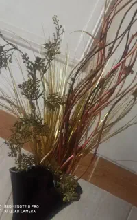 یک عدد گلدون به همراه گل