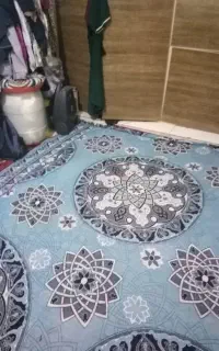 روفرشی وموکت پالاز