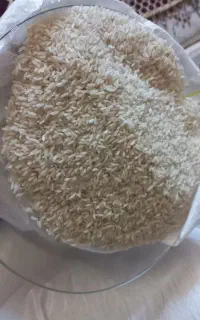 برنح هاشمی پارساله