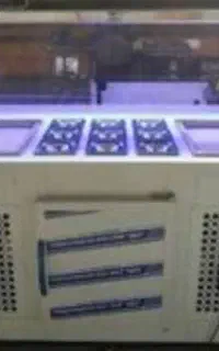 دستگاه بستنی رولی دو سینی